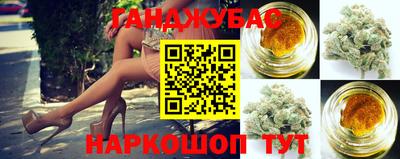 гашик Железногорск